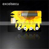 ESECU High Security Cryptograhic Smart Card for Authentication With LCD Display