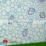 Microscope Plant Slides ,Corn Prepared Slides, ON SALE Prepared Slides thumbnail-5