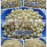 New Crop Garlic in Brine thumbnail-1