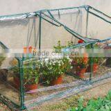 Commercial Cold Frame thumbnail-1