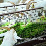 StarMax Hydroponic Systems / Hydroponic Growing Systems / Barley Fodder thumbnail-3