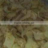 Inductrial Automatic Garlic Slicing Machine 600-1000kg/h thumbnail-5