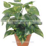 Artificial Green Bonsai Bamboo Leaf Kwai WB33-22J-GN( Plant Bonsai Flower Tree of Este ) thumbnail-2