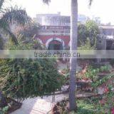 M/S JANDAOOD & COMPANY company overview - view 1 thumbnail