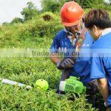 Hedge Trimmer26.2CC/hydraulic Hedge Trimmer thumbnail-1