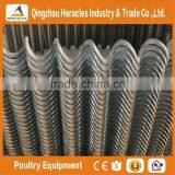 Heracles Trade Assurance Poultry Farming Equipment Automatic Feeding System for Broiler Chicken thumbnail-5