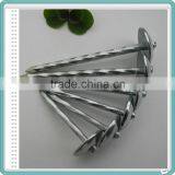 Umbrella Head Roofing Nails From China Supplier thumbnail-1