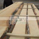 White Birch Timber thumbnail-3