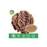 Coriolous Versicolor Extract