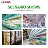 LED Lamp|Waterproof Lamp Tube|Fluorescent Lamp|Mall Lamp Tube|LED Lamp thumbnail-4