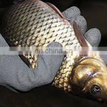 Professional Magnet Fisherman Anti-scratch Catch Fish Gloves Fishing Tackle Fishing Gloves Anti-cut Grade 5 thumbnail-1