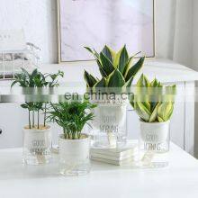 New Product Auto Ceramic Planter Succulent Flower Plant Planter Self Watering Pots thumbnail-3