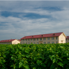 Guangxi Nanning Tianlong Biological Technology Co., LTD company overview - view 1 thumbnail