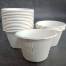 Takeout Eco-Friendly Disposable Compostable Biodegradable Envase Bagasse 4oz Sauce Mini Sugarcane Bagasse Pulp Cup thumbnail-2