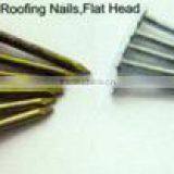 Unmbrella Roofing Nail