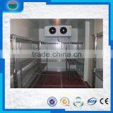 Freezing Room thumbnail-1