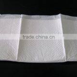 Super Absorbent Wee Wee Pads thumbnail-1