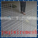 Manufacture Supply welded wire mesh galvanized roll/pannel