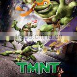 3D Lenticular PETpicture