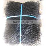 Plastic Extruded Tubular Net for Tree Shelter thumbnail-6