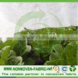 Polypropylene 100% Spunbond Non Woven Fabric for Frost Protection Garden Plant Cover