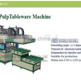 disposable paper dish pulp molding machine by HGHY