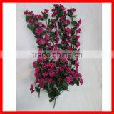 2014 Flower Wisteria