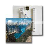 TUV GS CE ROHS SAA ISO9001 IP54 Frameless Electric Infrared Heater