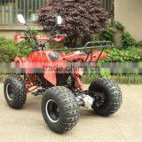 48V 20ah Electric ATV Quads With 750w Bushless Unit Motor thumbnail-5