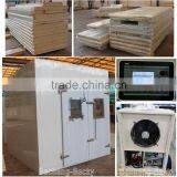 Polyurethane Cold Room Refrigerator and Freezers With Compressor
