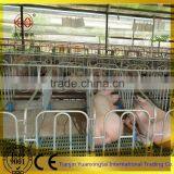 Animal Cage for Pig Farm Farrowing Pen/steel Pipe thumbnail-3