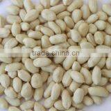 Chinese blanched peanut kernels