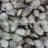 Iqf Frozen Oyster Meat for Sale