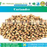 Indian Origin Super Clean Coriander