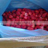 IQF STRAWBERRY thumbnail-4