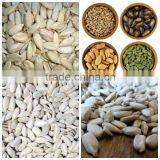 Sunflower Kernels Sunflower Seeds Kernels thumbnail-3
