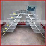 Layer Assemble Quail Cage With Assembling Tools For Sale thumbnail-1