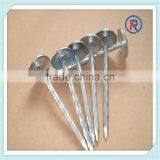 Hot Dip Galvanized Umbrella Head Roofing Nails With Smooth Shank or Twisted Shank thumbnail-6