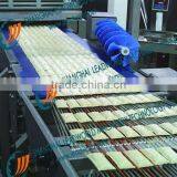 Width Adjustable International Food Grade Conveyor Manufacturer thumbnail-4