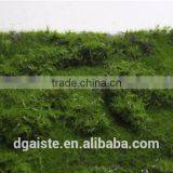 Synthetic Artificial Greenery Moss Wall Green Moss Wall Covering thumbnail-6