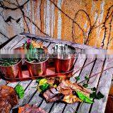 Metal Planters Set Metal Flower Pot Set With Tray for Home Decor thumbnail-2