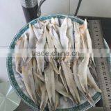 Anchovy Fillets in Vinegar thumbnail-1