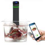 slow cooker machine wifi control immersion circulator sous vide