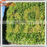 Latest Design Garden Vertical Green Wall Factory Price Grass Wall Decor Decoration Beautiful Fake Grass for Crafts thumbnail-6