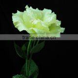 Name of Decorative Flower Eustoma Wedding Lisianthus Wholesale From Yunnan thumbnail-1