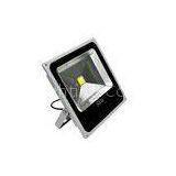 Multi - Color Changing 50W RGB LED Flood Light For Landscap Lighting 80-90lm/W thumbnail-1