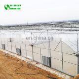 Classic Commercial Plastic Film Greenhouse/Garden Greenhouse for Sale thumbnail-6