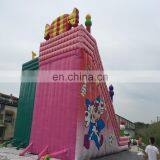 CE Durable Wahoo Kids Inflatable Water Slide for Children 's Happy Dream Games thumbnail-5
