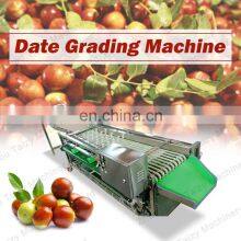 Lemon Grading Machine Ajwa Dates Sorter Almond Sorting Machine thumbnail-5