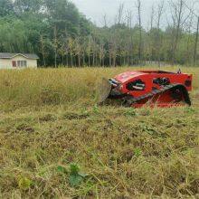 Remote Controlled Lawn Mower With Best Price in China thumbnail-4